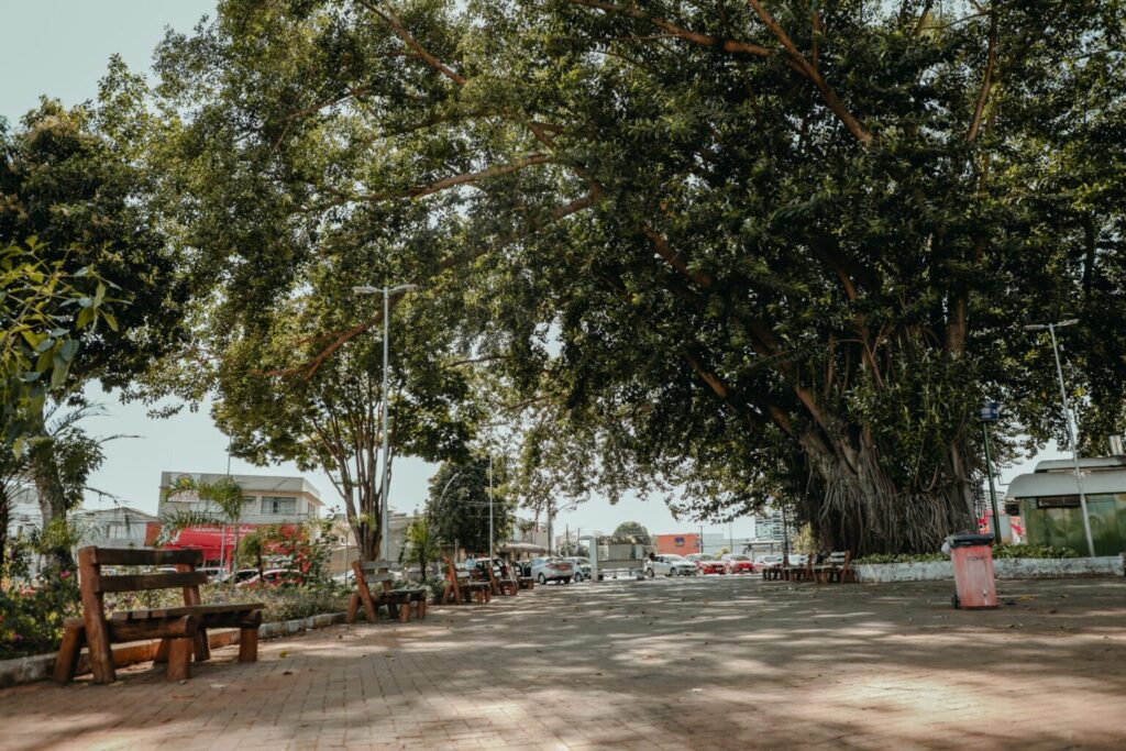 Imagem Praça Dom Emanuel Anápolis