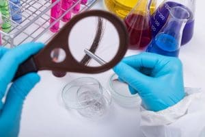 Imagem lupa e fio de cabelo para exame toxicologico