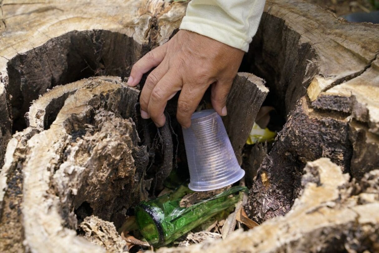 Imagem de local que serve como criador do Aedes aegypti