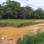 Imagem Ribeirão das Antas Anápolis, Goiás