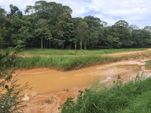 Imagem Ribeirão das Antas Anápolis, Goiás
