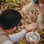 Imagem agentes de endemia recolhendo focos do mosquito