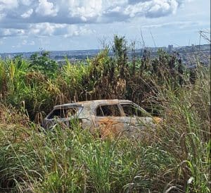 Imagem carro carbonizado na mata