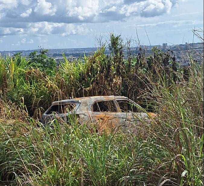 Imagem carro carbonizado na mata