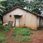 Imagem casa onde aconteceu o homicídio no distrito de Interlândia