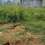 Imagem Mato alto dentro CMEI Casemiro de Abreu