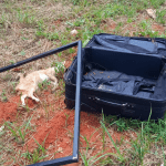 Imagem gato morto ao lado de uma mala aberta