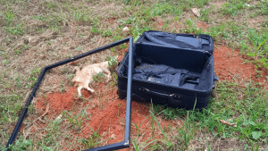 Imagem gato morto ao lado de uma mala aberta