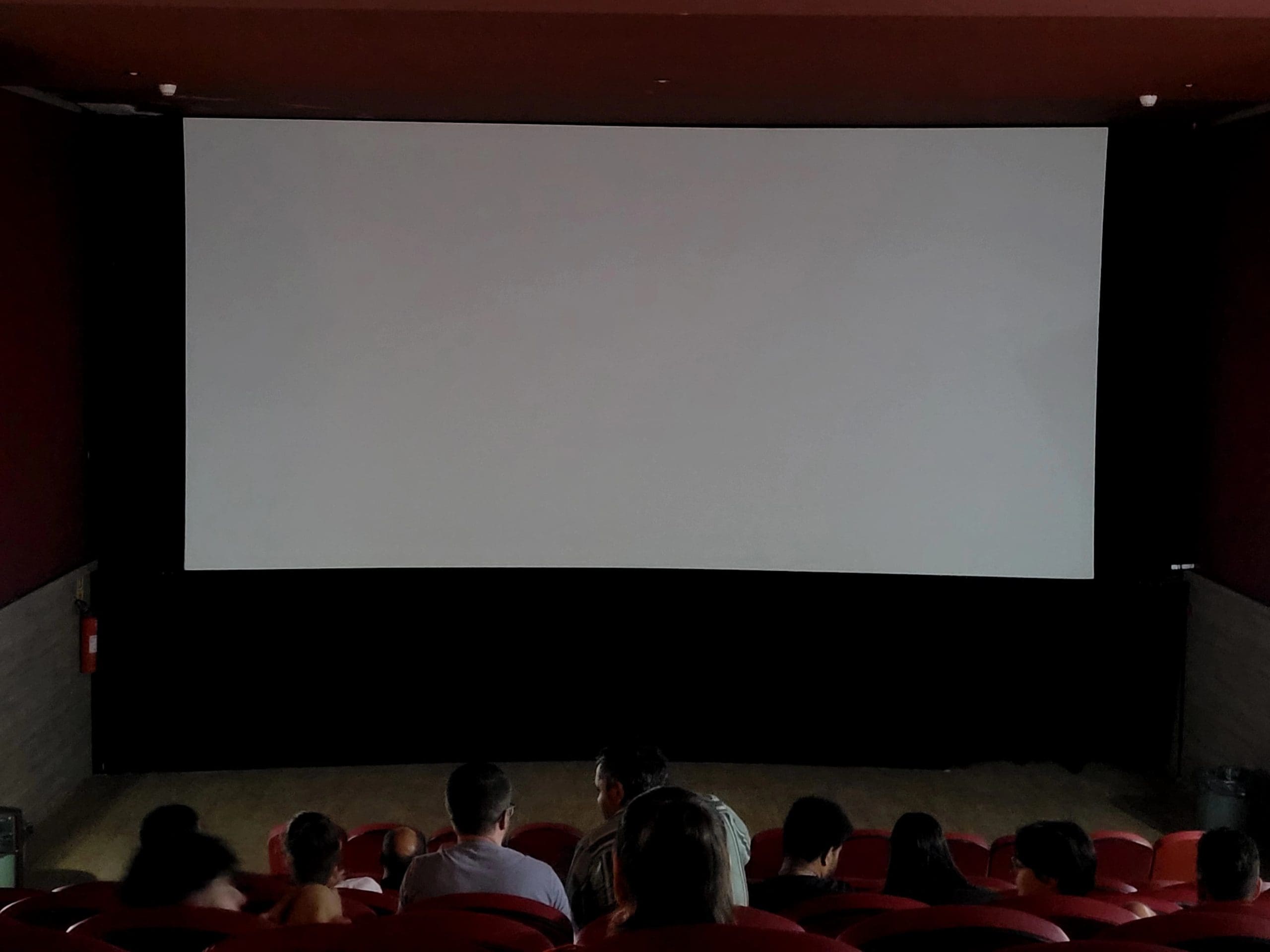 A foto é tirada das últimas fileiras de uma sala de cinema, que está com poucas luzes ligadas. A grande tela branca ainda não exibe nenhum filme. Há algumas pessoas na sala.