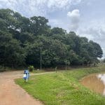 Imagem Central Parque em Anápolis, ao fundo mata frete a frente lago sujo