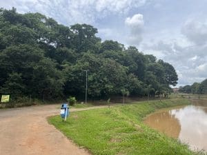 Imagem Central Parque em Anápolis, ao fundo mata frete a frente lago sujo