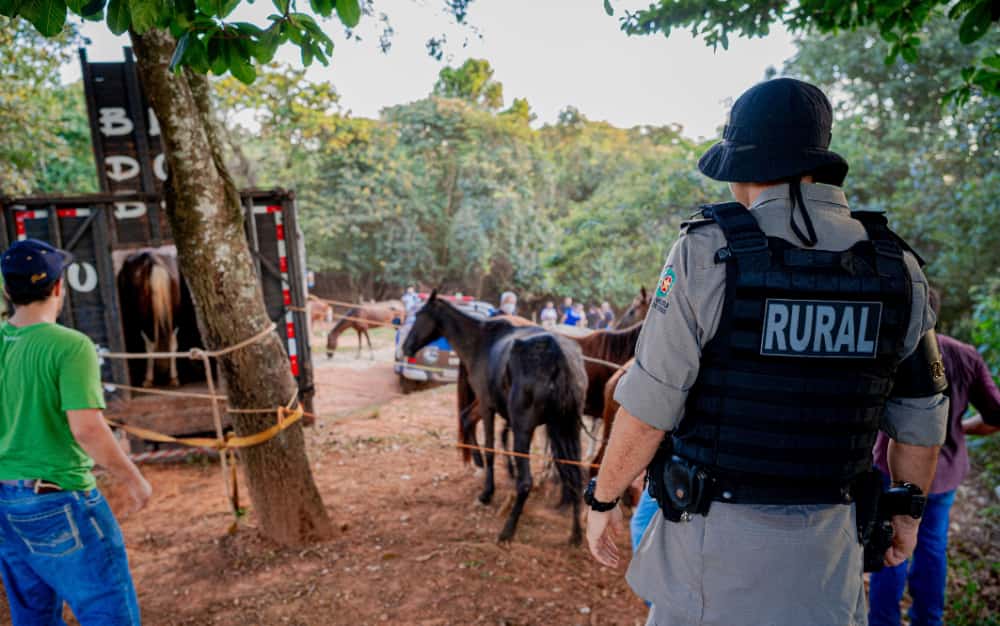 iMAGEM POLICIAL MILITAR EM ABATEDOURO DE CAVALOS