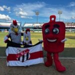 Imagem mascote Anápolis galo e Hemoguinho