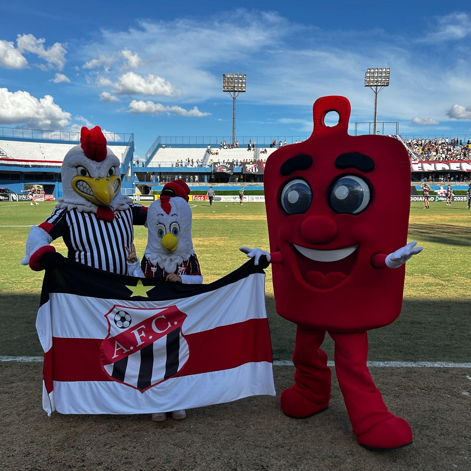 Imagem mascote Anápolis galo e Hemoguinho