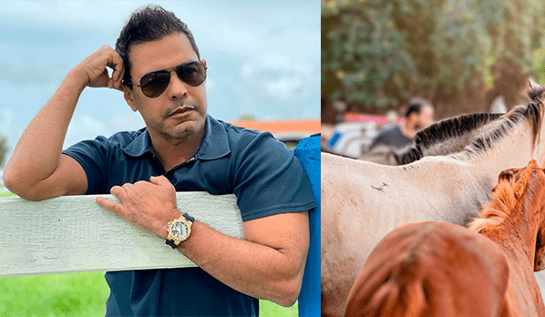 Imagem Zezé di Camargo e cavalos