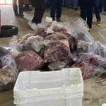 Imagem Carne de Cavalo congelada