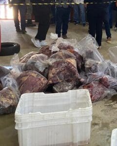 Imagem Carne de Cavalo congelada