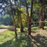 Imagem Central Parque em Anápolis Interditado