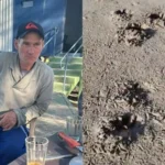 Imagem caseiro que foi morto e pegadas de onça