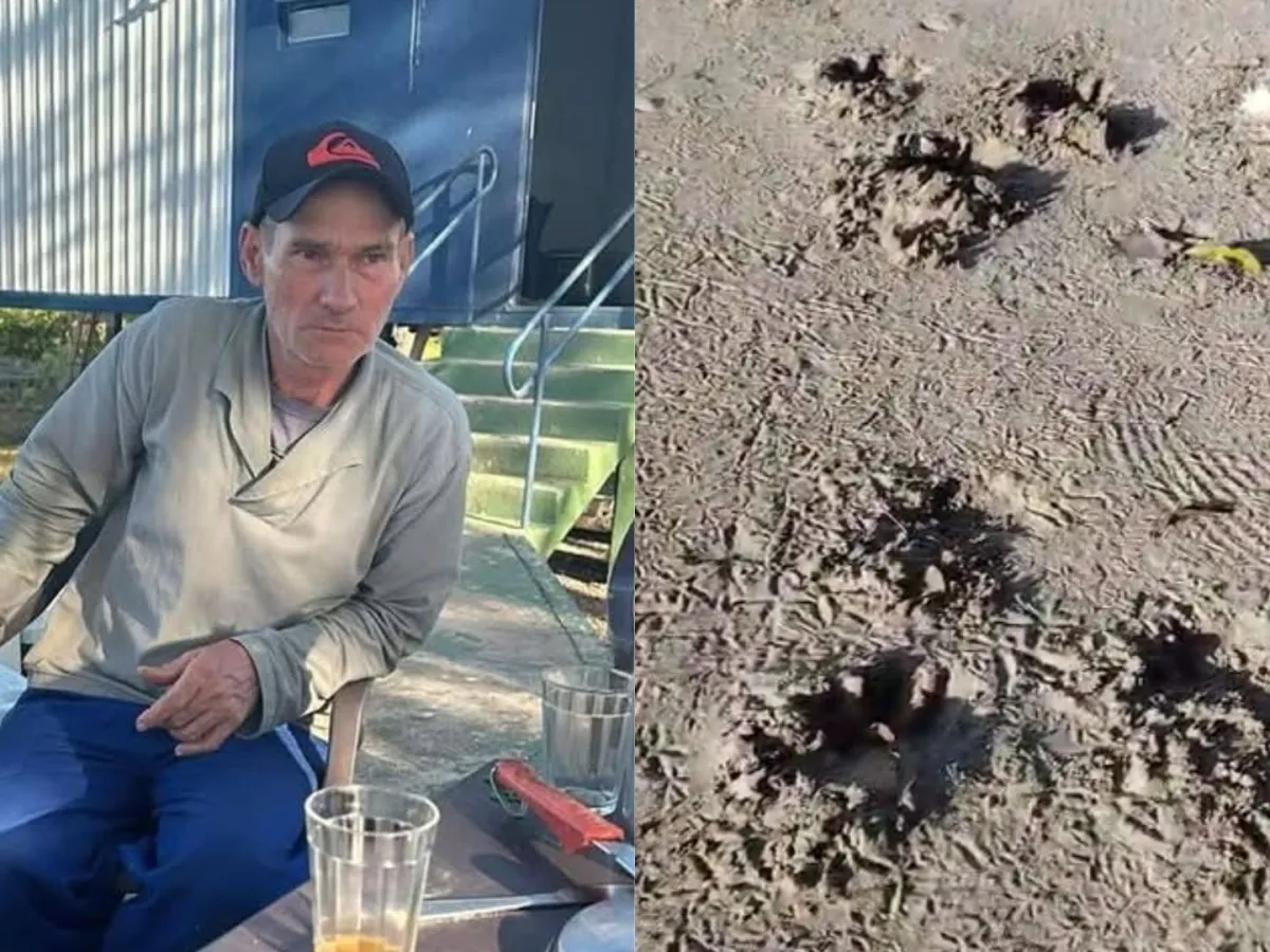 Imagem caseiro que foi morto e pegadas de onça
