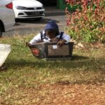 Imagem Criança Venezuelana dentro de uma caixa de papelão no canteiro central de uma rua em Anápolis