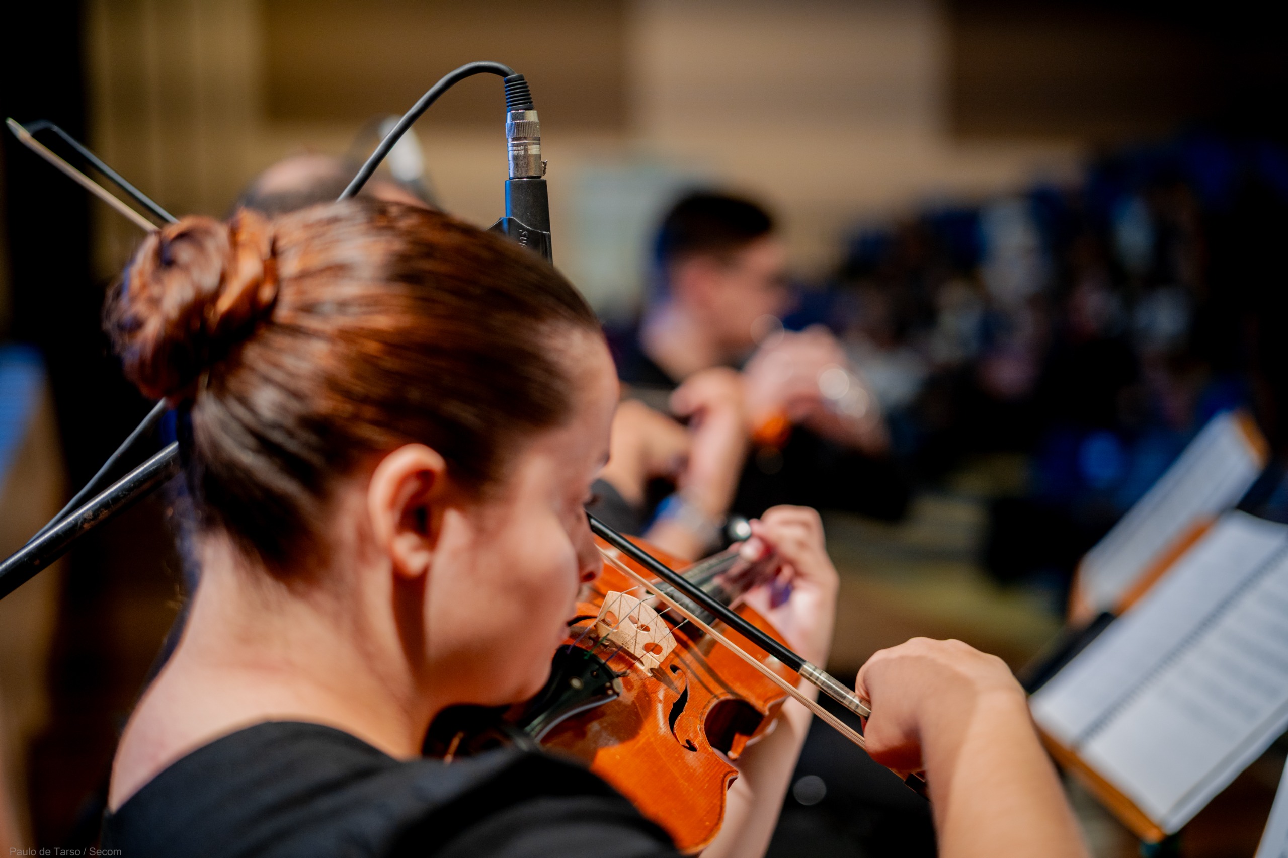 Imagem mulher tocando violino