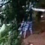 Imagem homem segurando pedaça de madeira na Praça