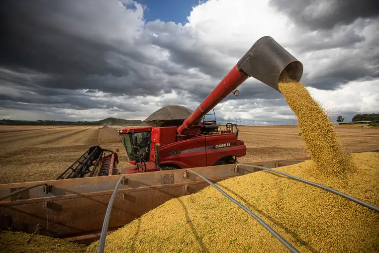 Imagem colheita de grãos, maquina despeja grãos no caminhão
