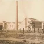 Imagem Alto da Vila Jaiara ano de 1951, ao fundo uma torre e casas altas