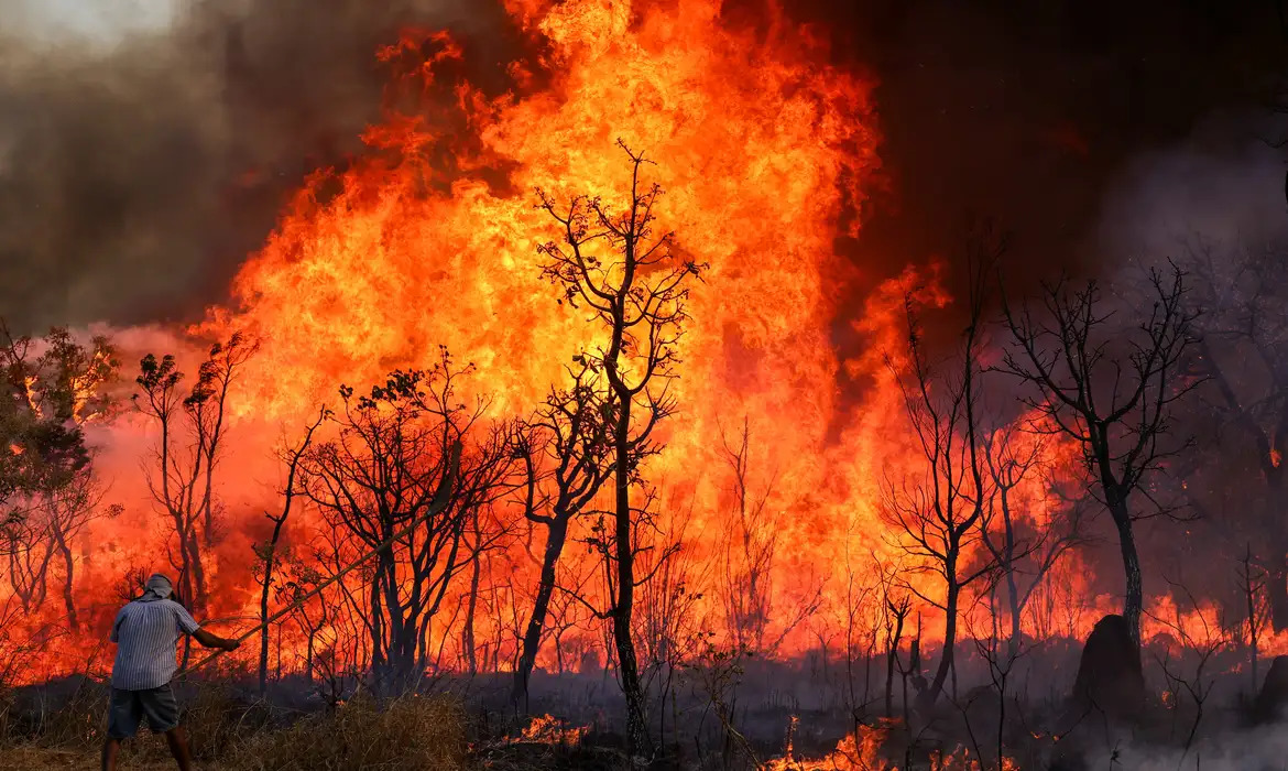 Imagem fogo alto na vegetação, um homem aparece tentando apagar com um material de abafamento nas mãos
