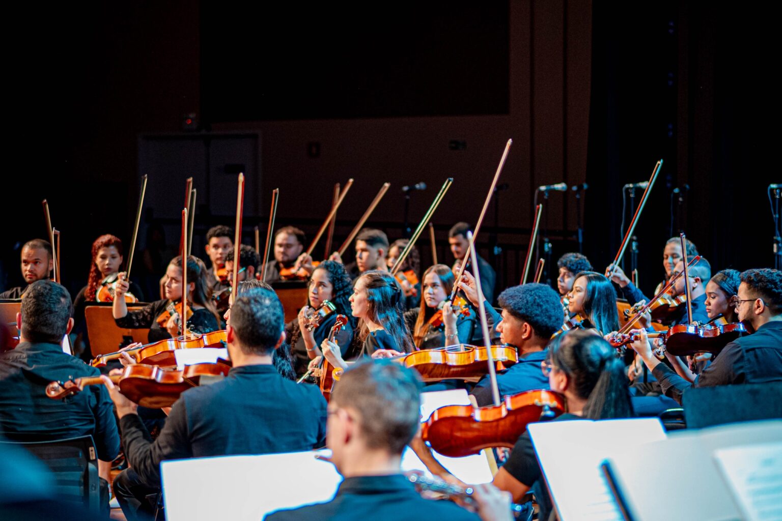 Imagem Orquestra Jovem de Anápolis eles estão com o violino e as varetas em posição para tocar