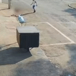 Imagem rua onde menino levou chocque, ele está caido no chão, imagem borrada e um outro menino está próximo em pé