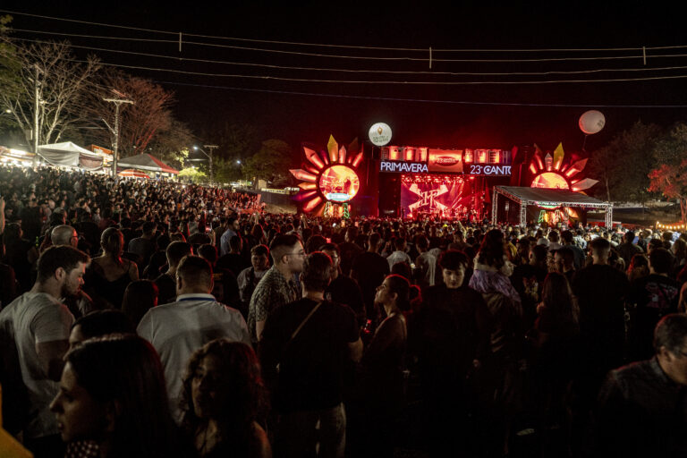 Imagem varias pessoas em um show a frente está o palco