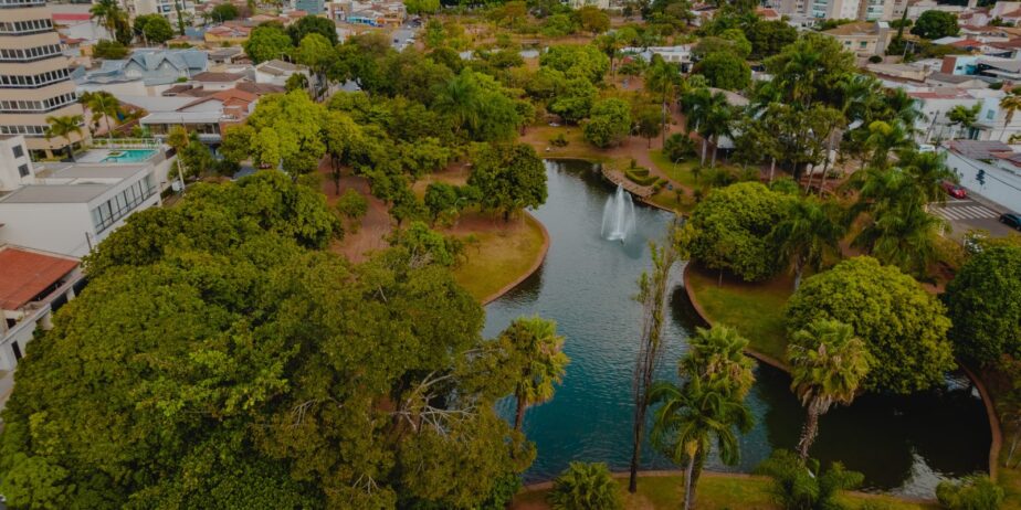Imagem arvores com lago no meio Cidade de Anápolis