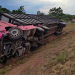 Imagem Carreta cor de rosa tombada no canteiro da rodovia
