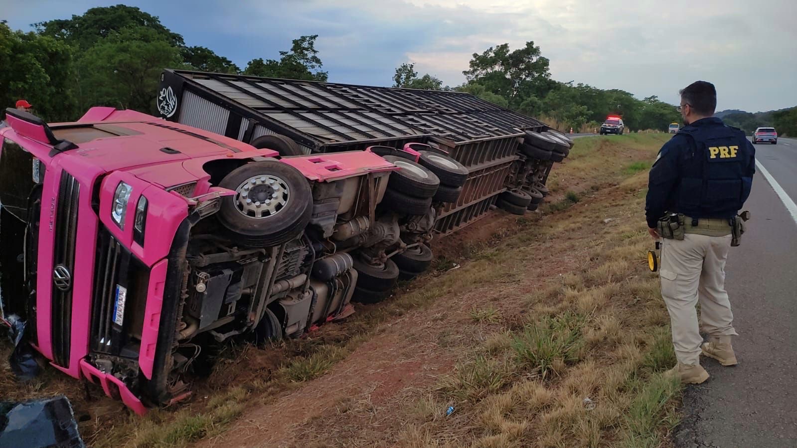 Imagem Carreta cor de rosa tombada no canteiro da rodovia