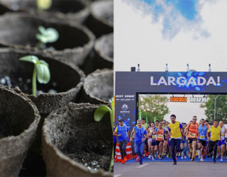 Imagem Mudas de arvore e atletas na Largada Corrida de Rua