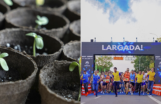Imagem Mudas de arvore e atletas na Largada Corrida de Rua