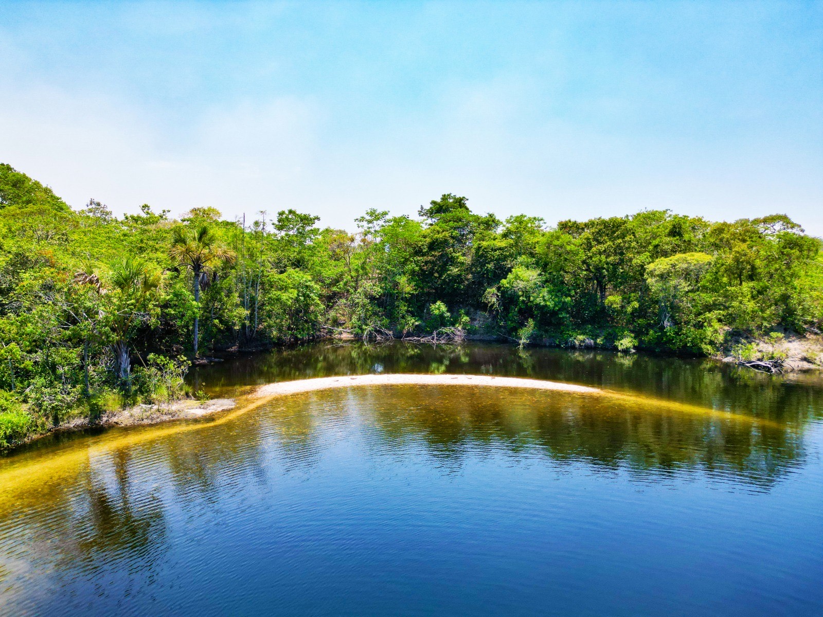 Imagem lago que reflete arvores