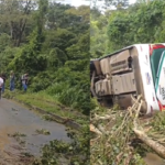 Imagem ônibus caiado na rodovia