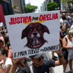 Imagem pessoas na rua manifestação morte cão orelha