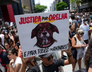 Imagem pessoas na rua manifestação morte cão orelha