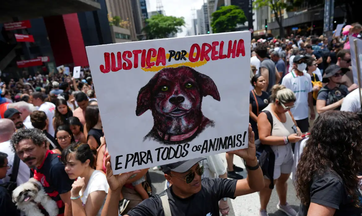 Imagem pessoas na rua manifestação morte cão orelha