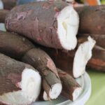 Imagem mandiocas sem descascar