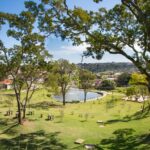 Imagem arvores em uma parque