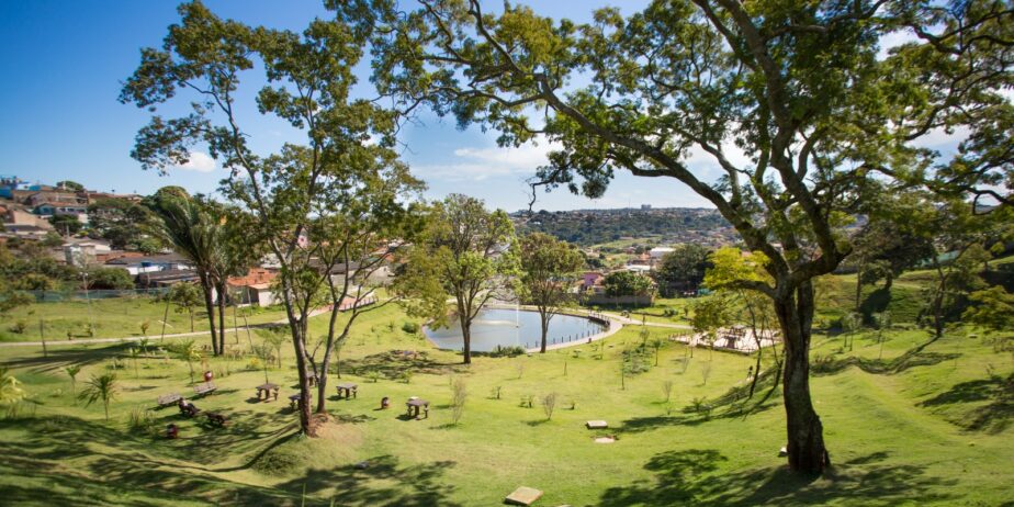Vídeo: Parque da Liberdade é alvo de vandalismo em Anápolis