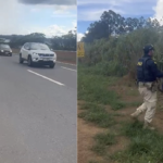 Imagem rodovia cobra sendo retirada