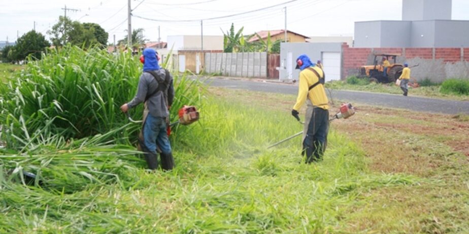 Prefeitura inicia força-tarefa para limpar lotes com mato alto em Anápolis; multa pode chegar a 50% do IPTU