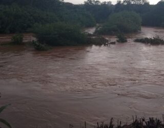 Imagem córrego de rio