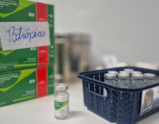 Imagem remédio e frascos dentro de recipiente